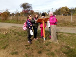 IMG_20161024_103839