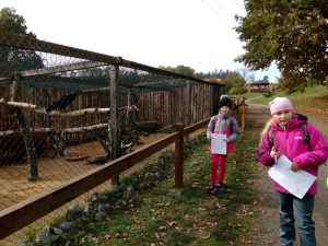 IMG_20161024_104613