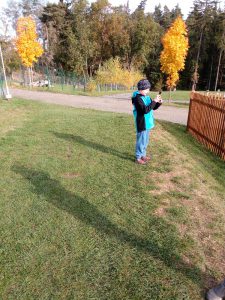 IMG_20161024_110608