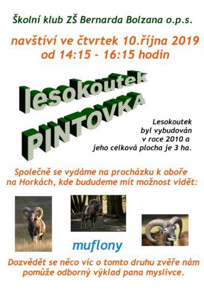 lesokoutek-Pintovka